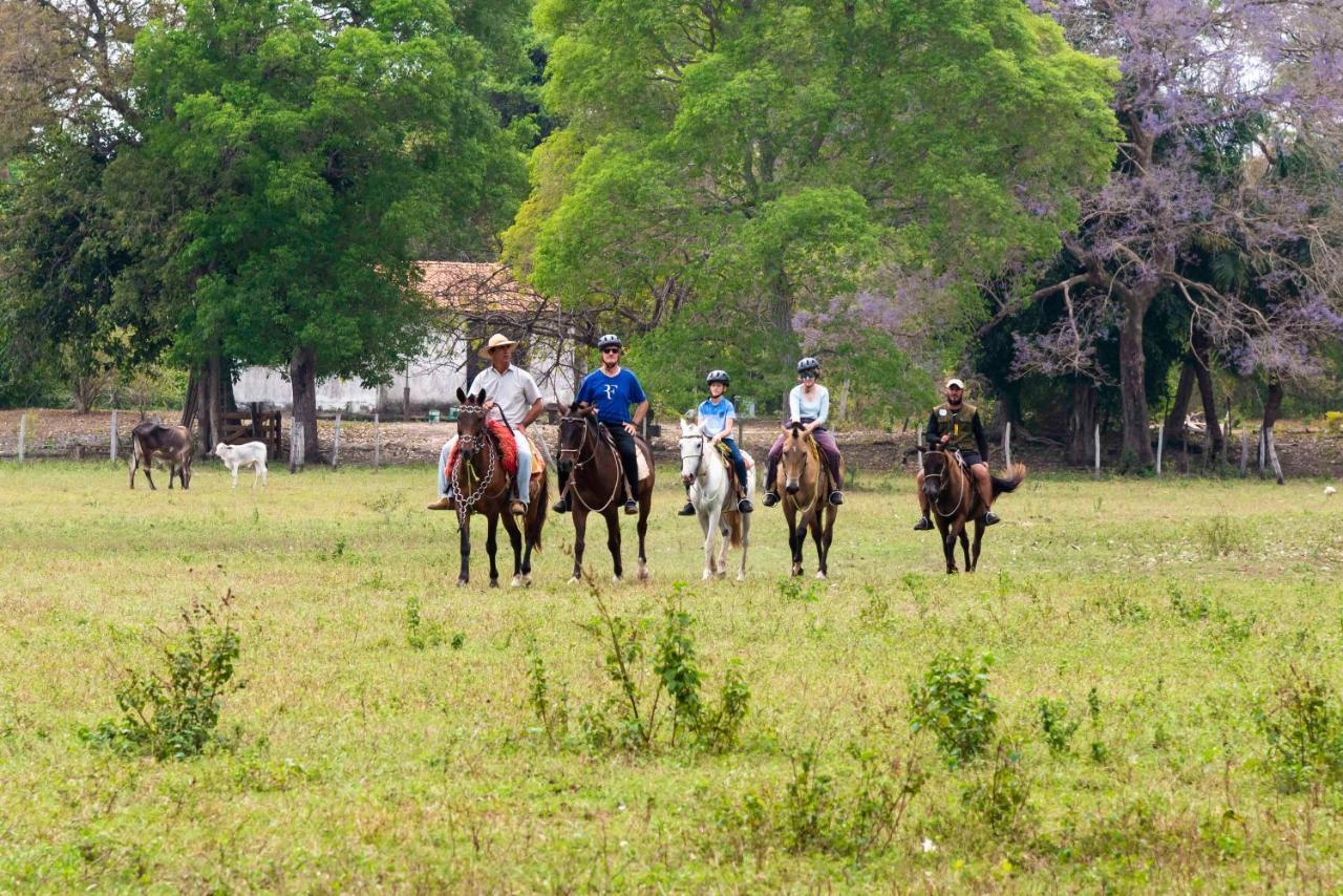 Pousada Fazenda Xaraes Todos os Santos Экстерьер фото
