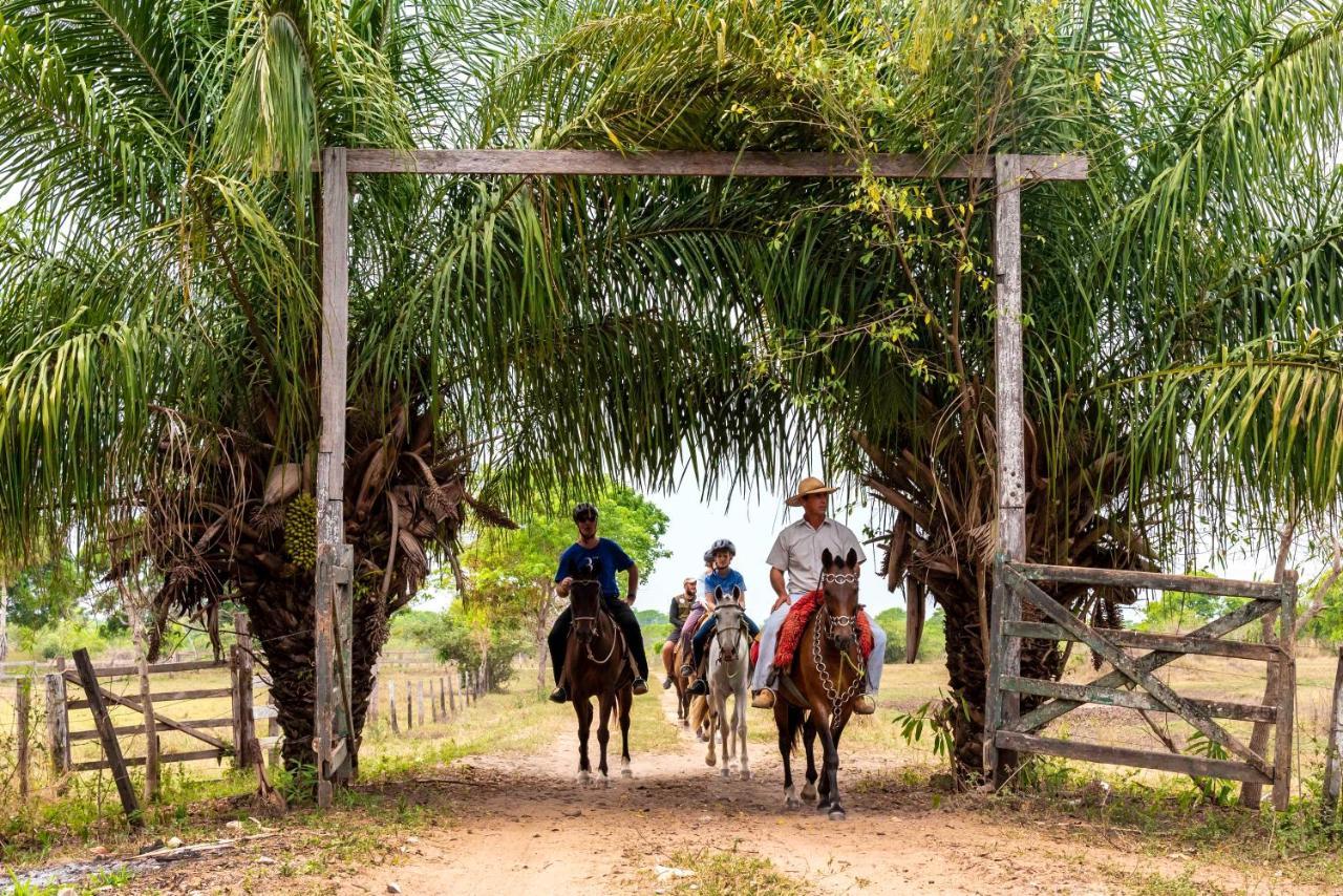Pousada Fazenda Xaraes Todos os Santos Экстерьер фото