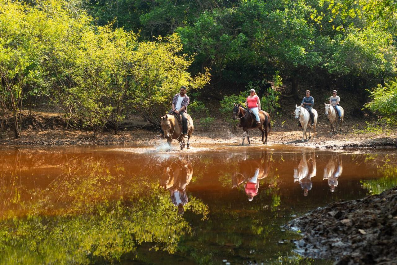 Pousada Fazenda Xaraes Todos os Santos Экстерьер фото