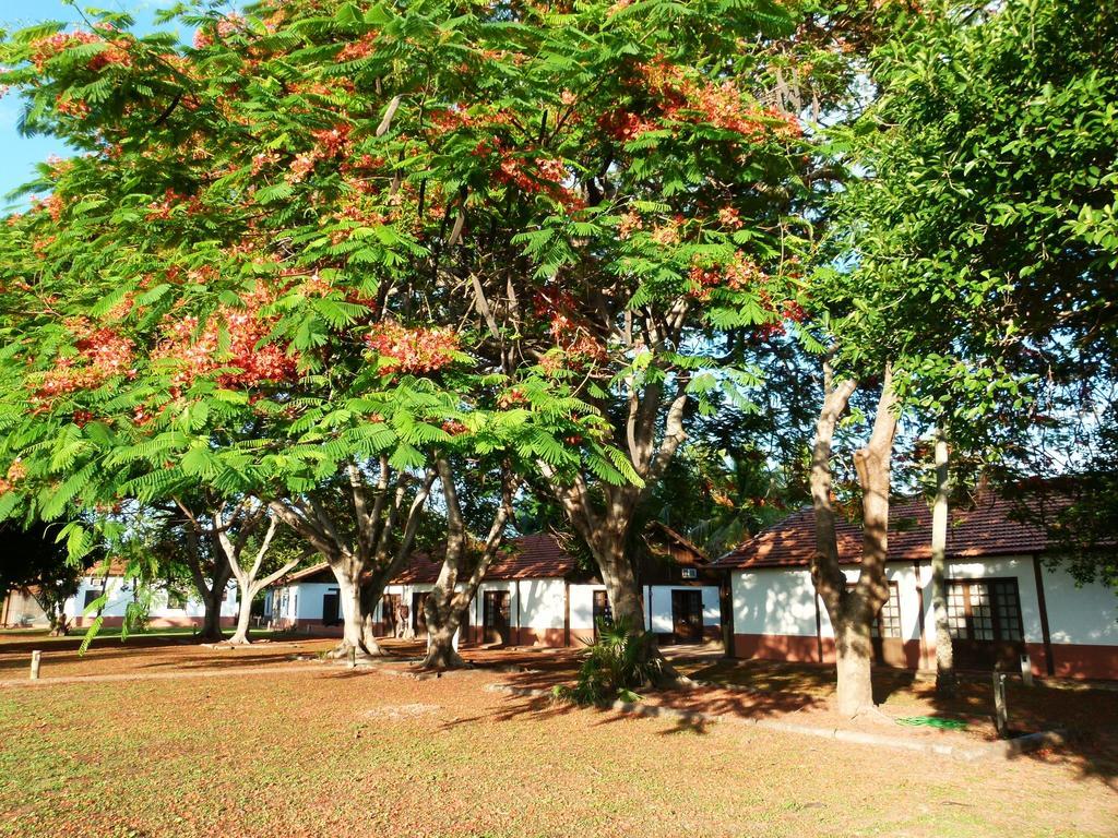 Pousada Fazenda Xaraes Todos os Santos Экстерьер фото