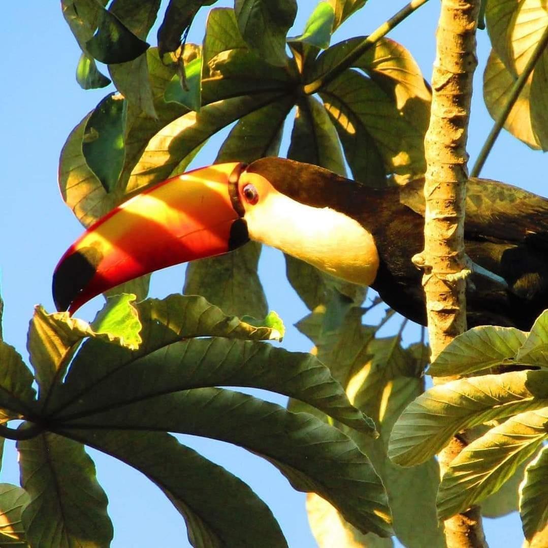 Pousada Fazenda Xaraes Todos os Santos Экстерьер фото