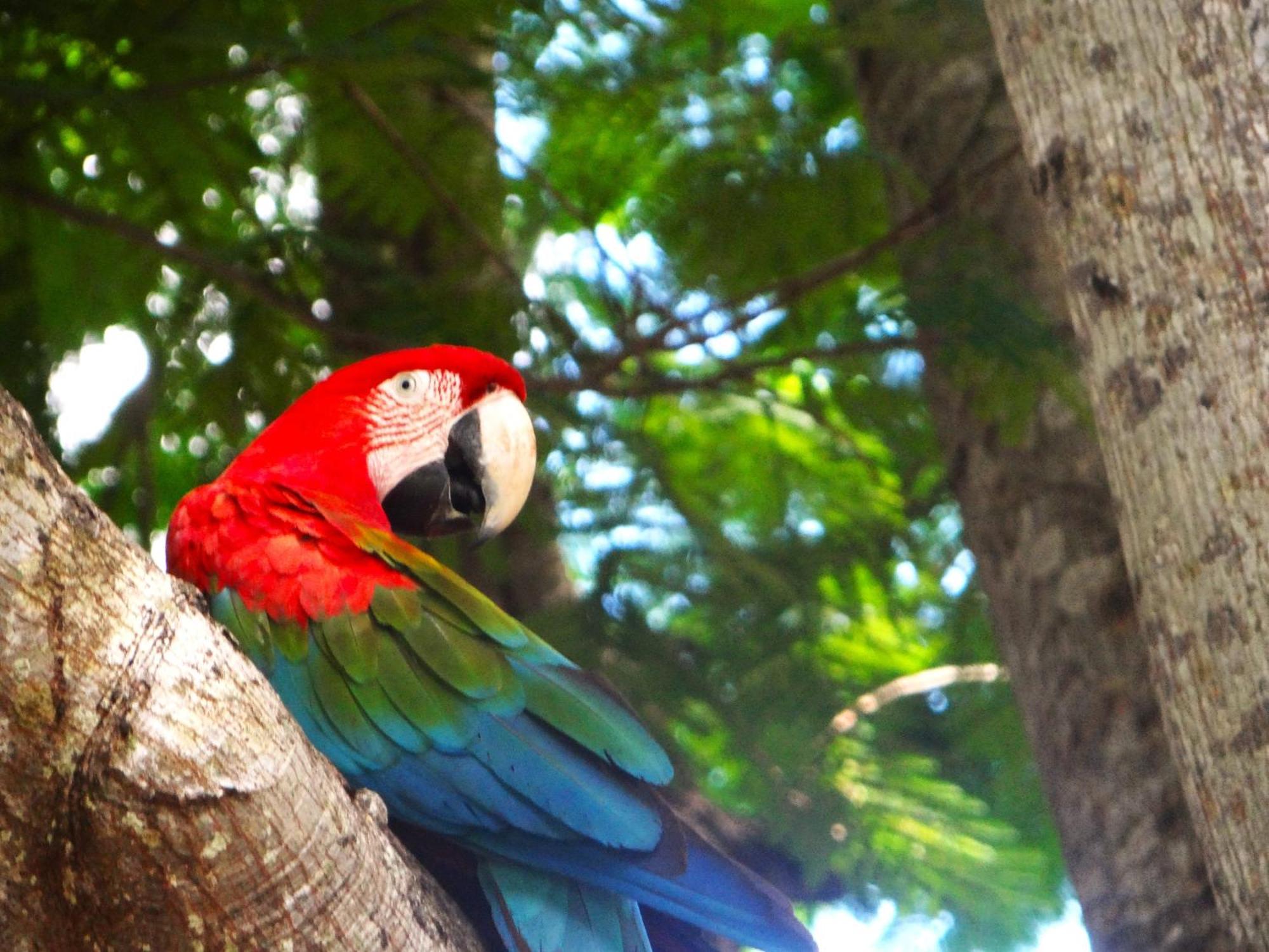 Pousada Fazenda Xaraes Todos os Santos Экстерьер фото