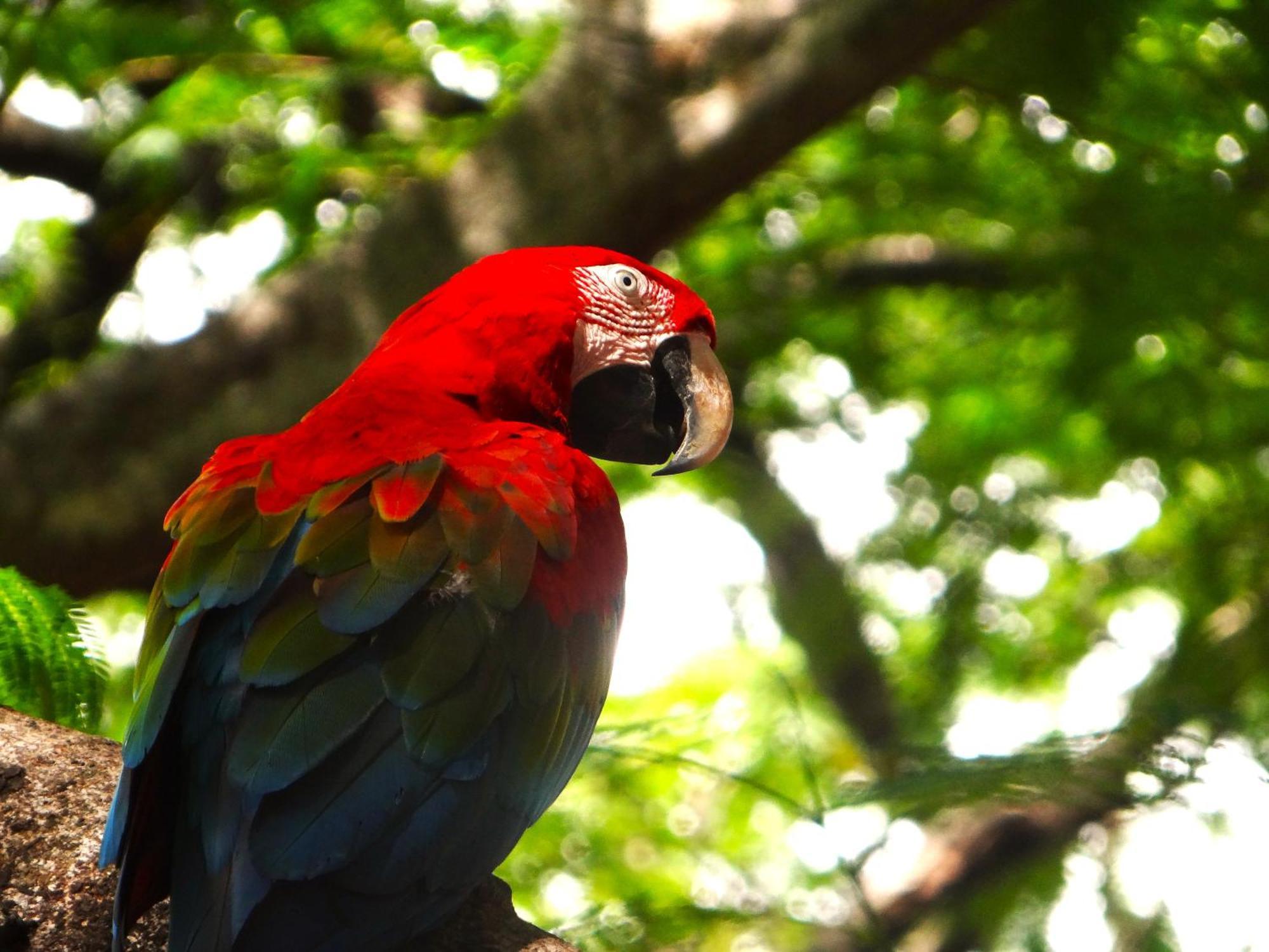 Pousada Fazenda Xaraes Todos os Santos Экстерьер фото