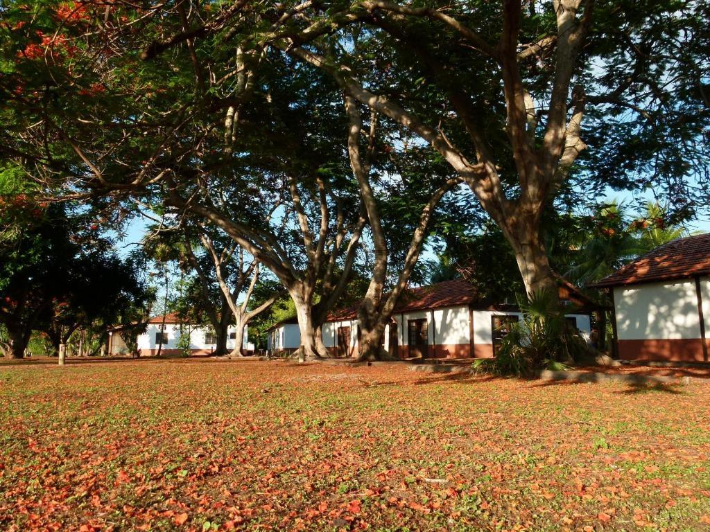 Pousada Fazenda Xaraes Todos os Santos Экстерьер фото